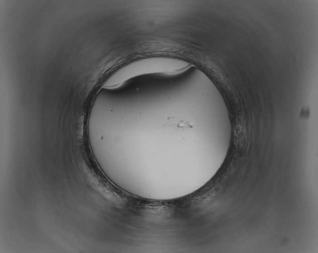 X0000088880454200707061414