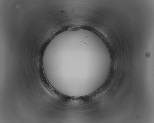 X0000088880455200707061414