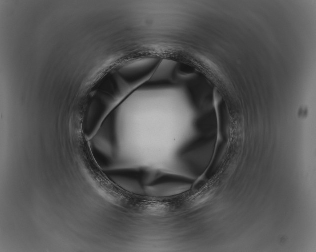 X0000088880456200707061414