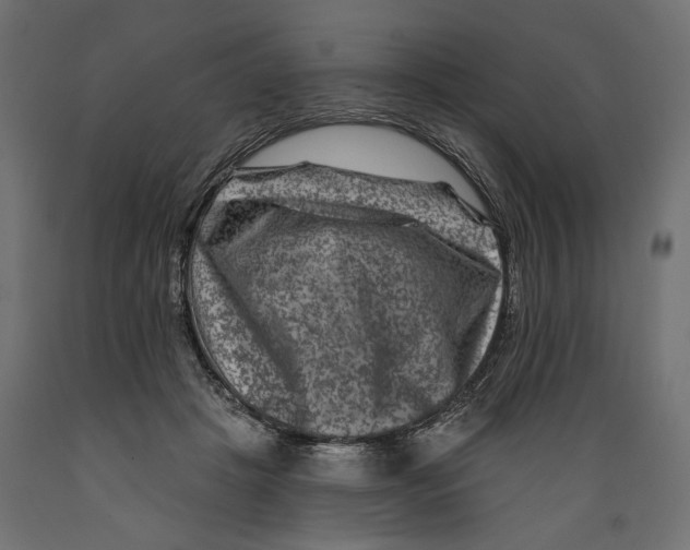 X0000088880457200707061414