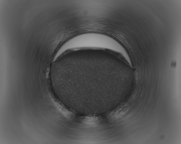 X0000088880458200707061414