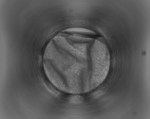 X0000088880459200707061414