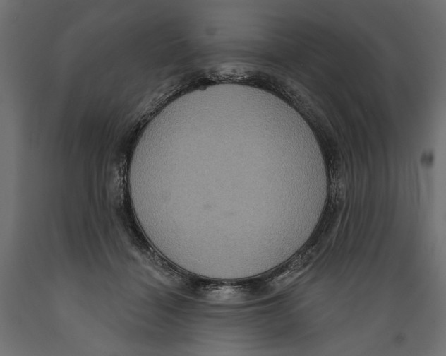X0000088880460200707061414