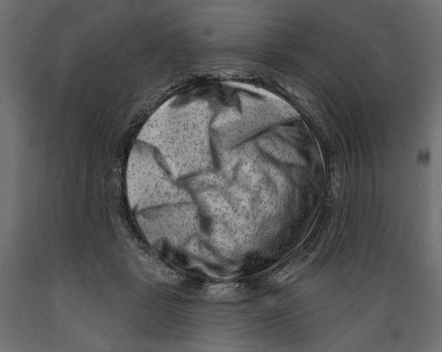 X0000088880461200707061414