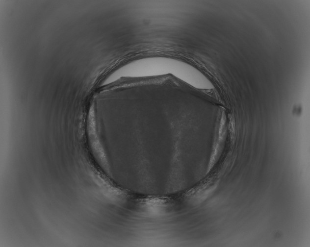 X0000088880462200707061414