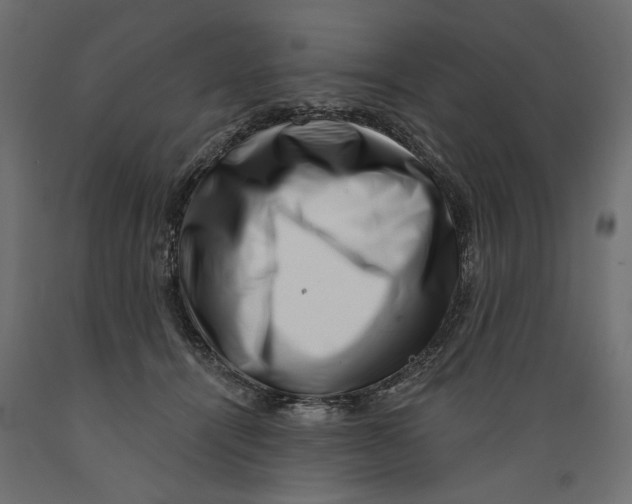 X0000088880464200707061414