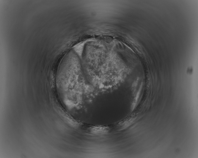 X0000088880465200707061414