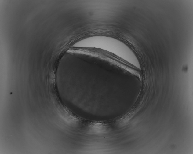 X0000088880467200707061414