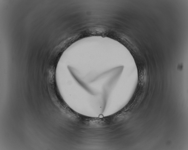 X0000088880468200707061414