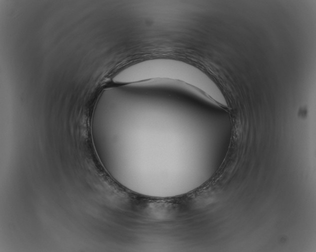X0000088880470200707061414