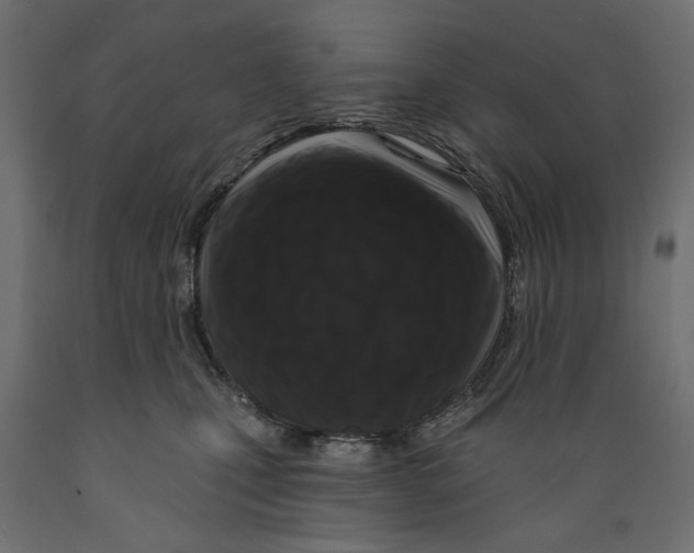 X0000088880471200707061414