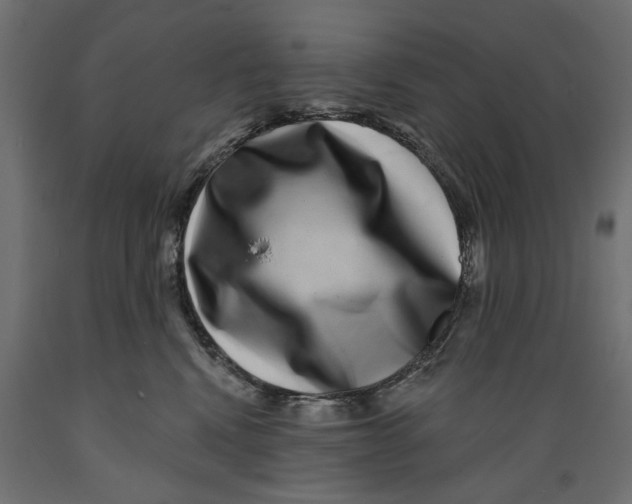 X0000088880472200707061414
