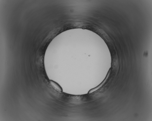 X0000088880473200707061414