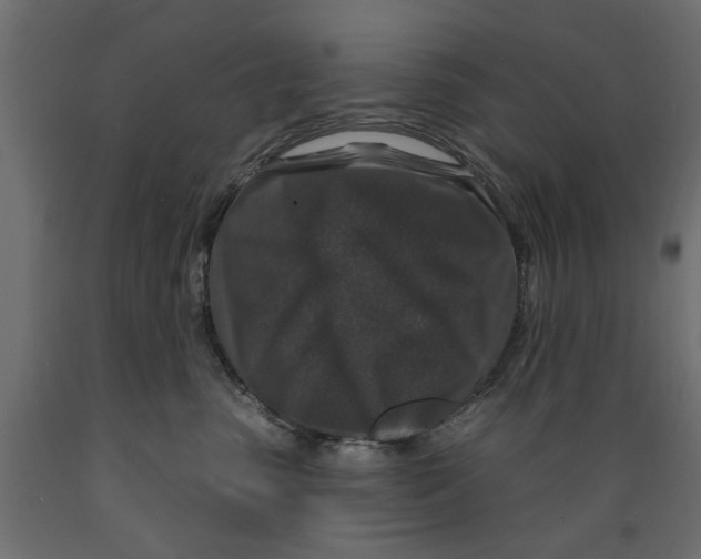 X0000088880475200707061414