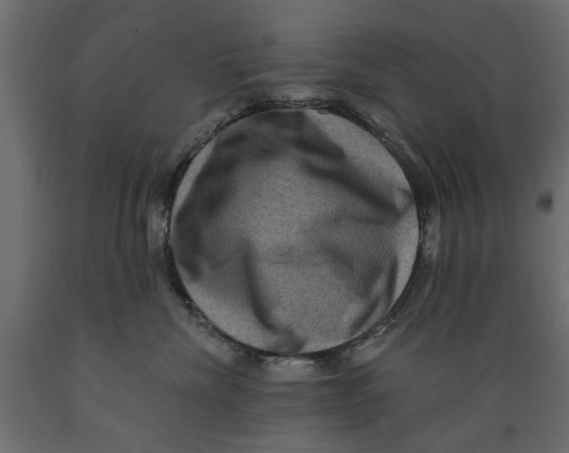 X0000088880476200707061414