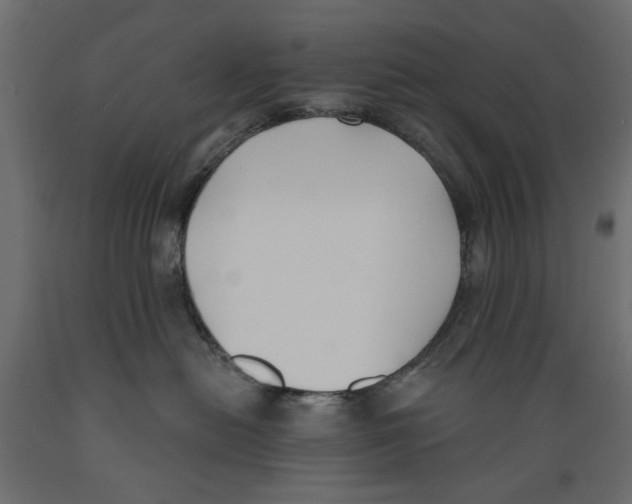 X0000088880478200707061414