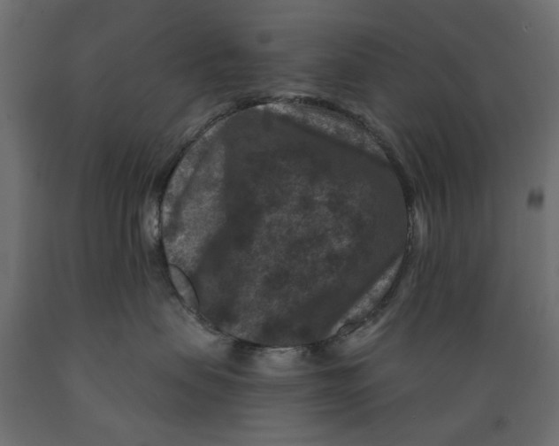 X0000088880479200707061414