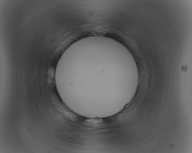 X0000088880480200707061414