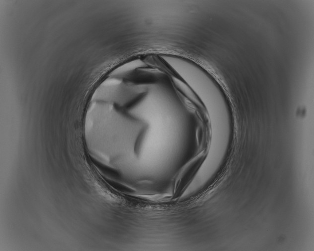 X0000088880481200707061413