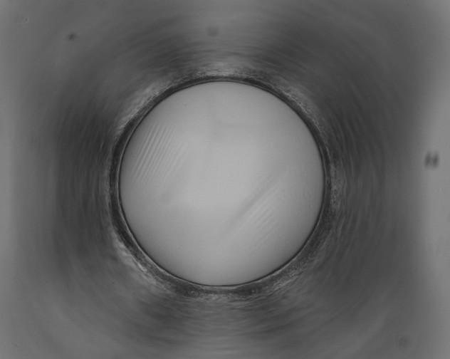X0000088880482200707061413