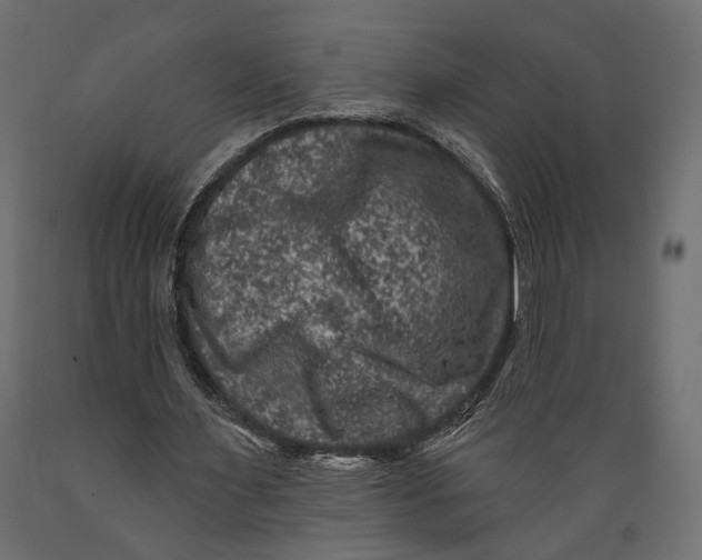 X0000088880483200707061413