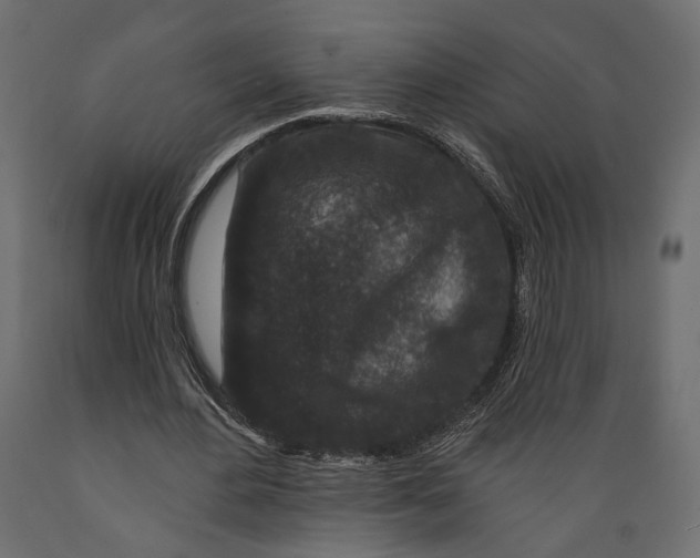 X0000088880484200707061413