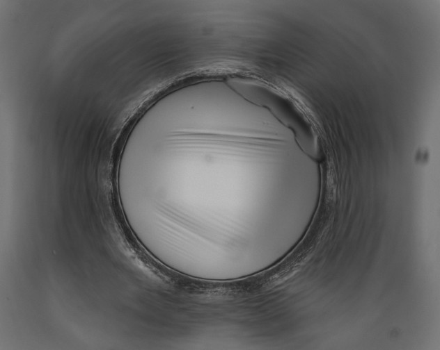 X0000088880485200707061413