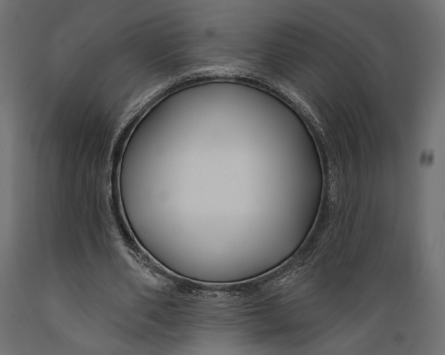 X0000088880486200707061413