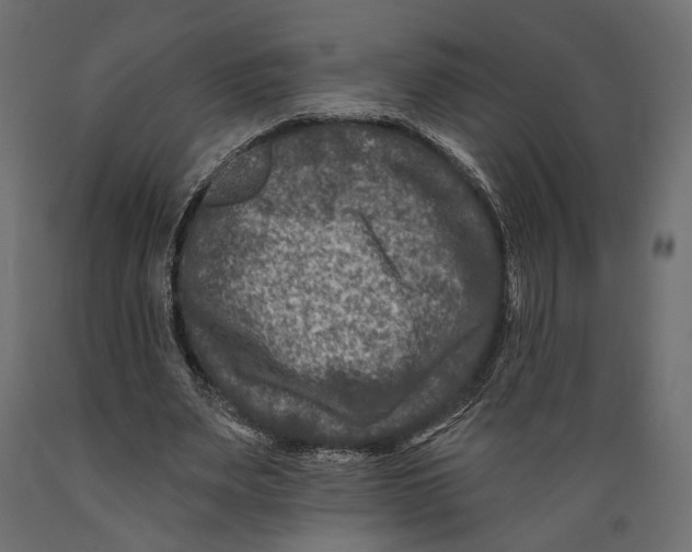 X0000088880487200707061413