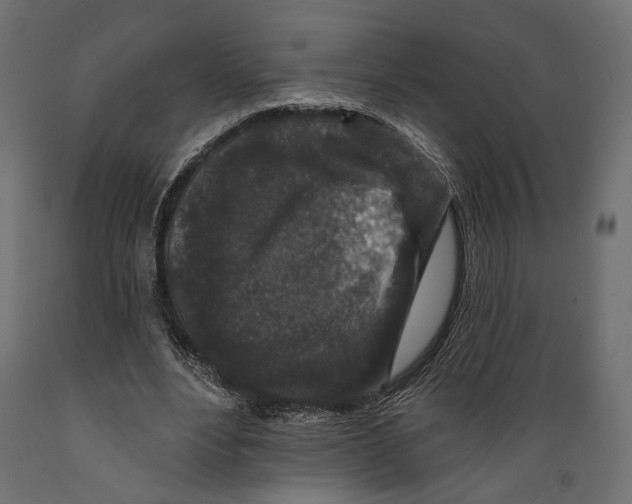 X0000088880488200707061413