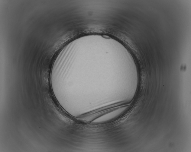 X0000088880489200707061413