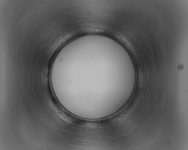 X0000088880490200707061413