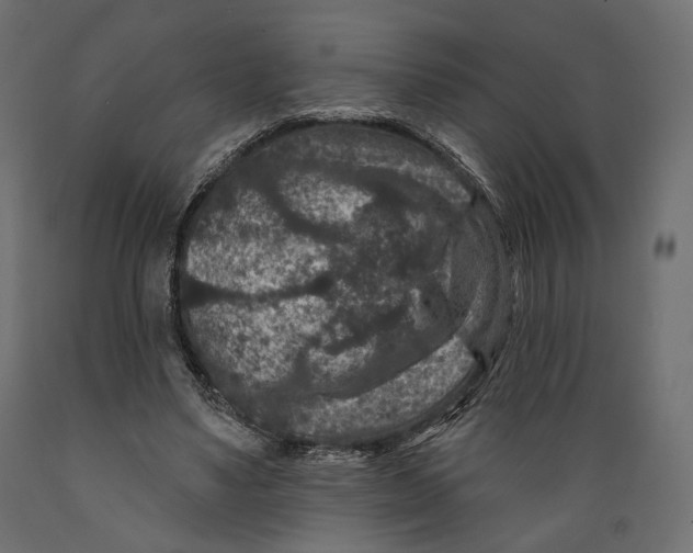 X0000088880491200707061413