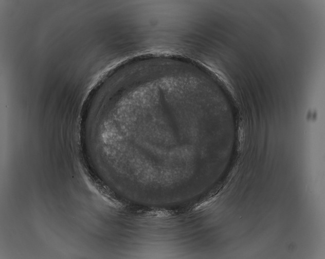 X0000088880492200707061413