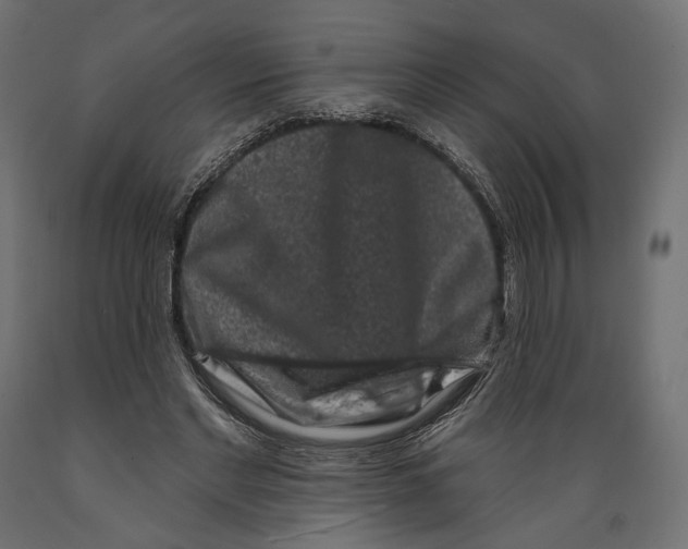 X0000088880493200707061413
