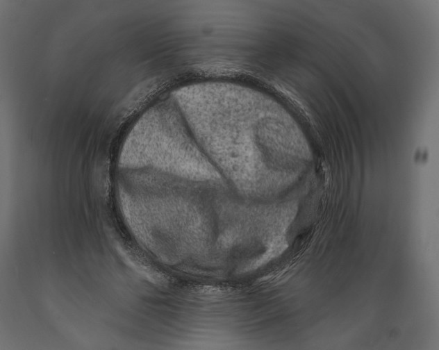 X0000088880494200707061413
