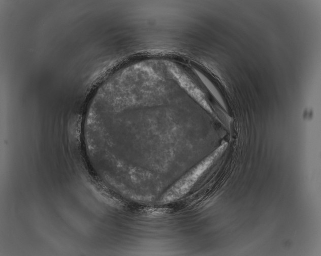 X0000088880495200707061413