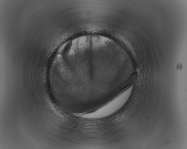 X0000088880496200707061413