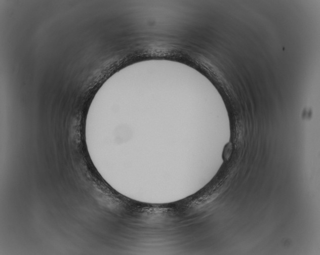 X0000088880497200707061413
