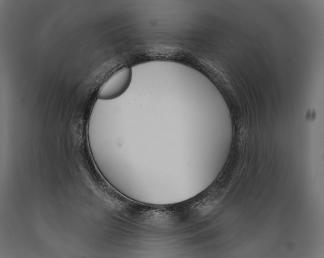 X0000088880498200707061413