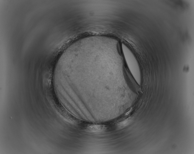 X0000088880499200707061413