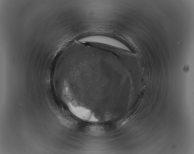 X0000088880500200707061413