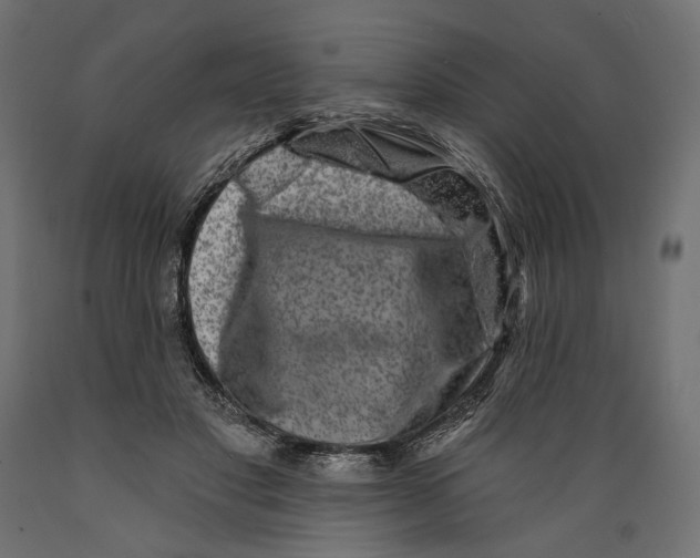 X0000088880501200707061413