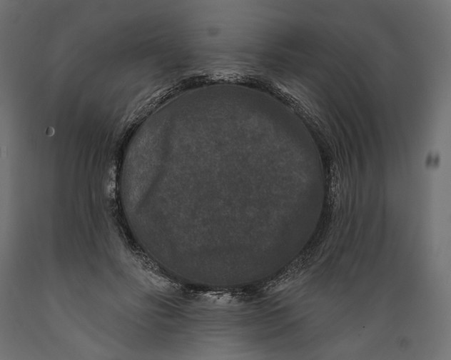 X0000088880502200707061413