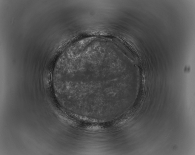 X0000088880503200707061413