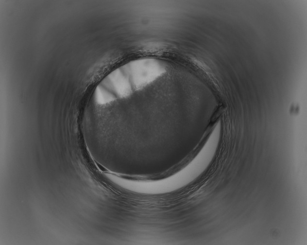 X0000088880504200707061413