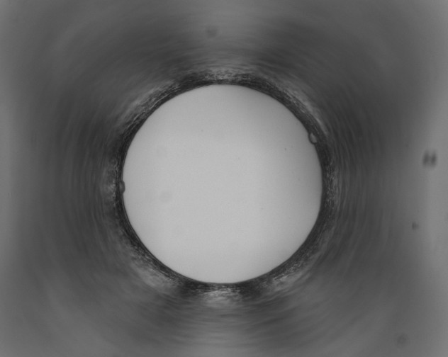 X0000088880505200707061413