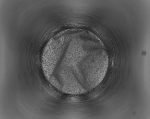 X0000088880506200707061413