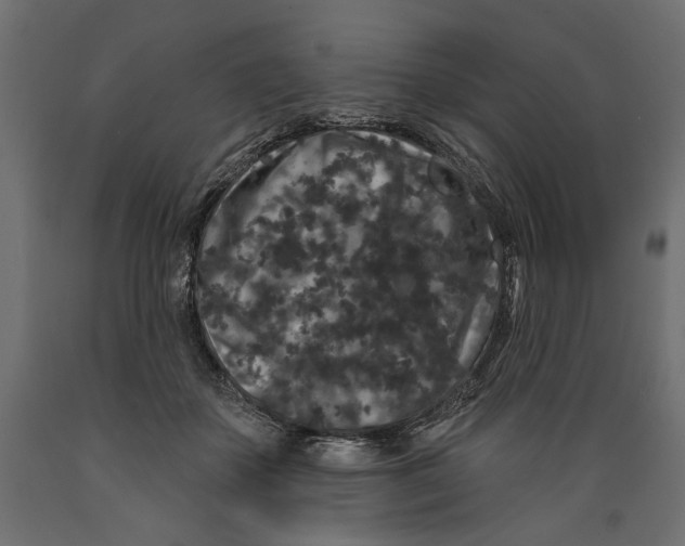 X0000088880507200707061413