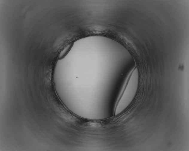 X0000088880509200707061413